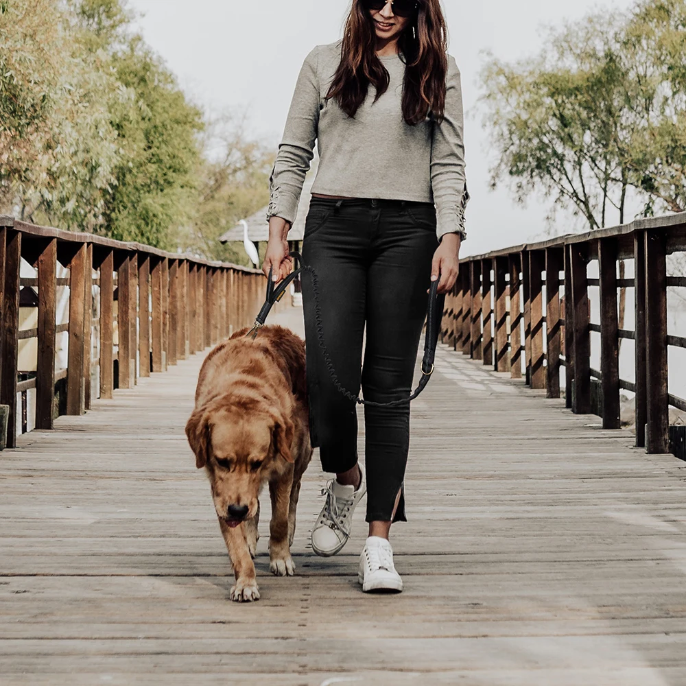 Отличный Элитный поводок для собак Космический алюминиевый с зажимами