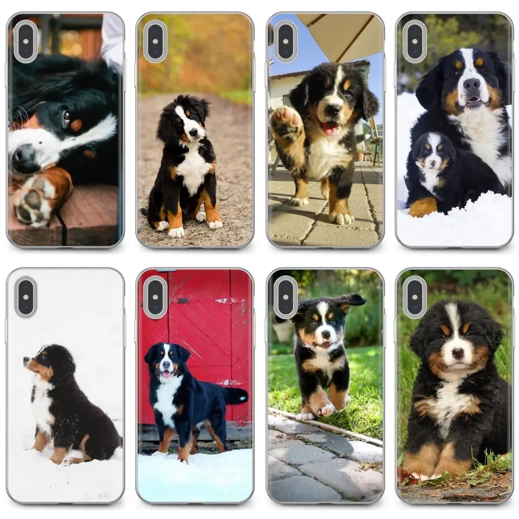 Силиконовые чехлы для телефонов Berner Sennen Dog Bernese Mountain Samsung Galaxy A3 A5 A7 A9 A8 Star Lite A6 Plus 2018