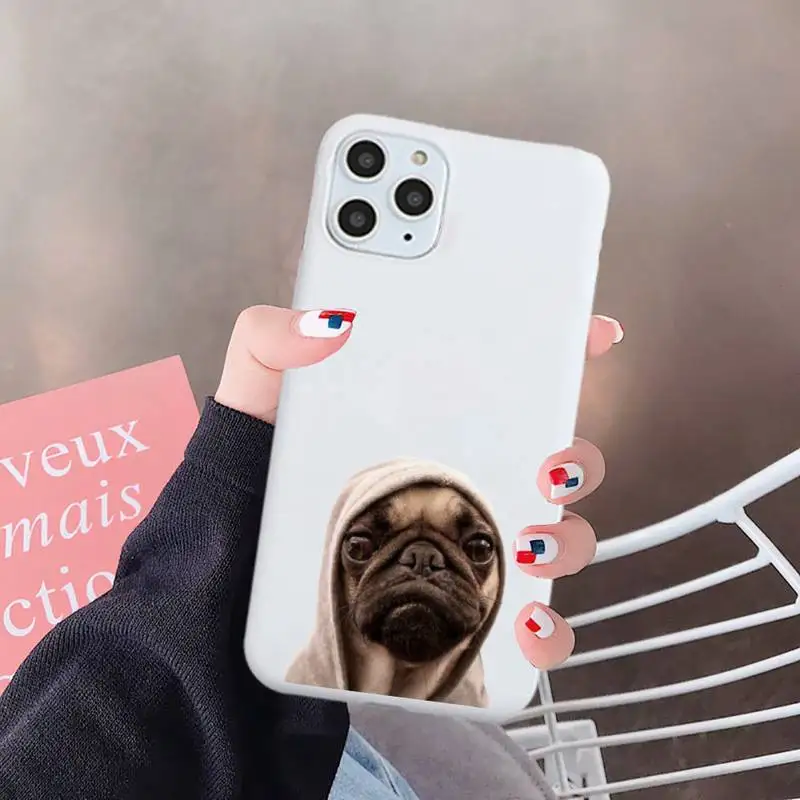 

Pug Dog French Bulldog lovely animal Phone Case Candy Color for iPhone 6 7 8 11 12 s mini pro X XS XR MAX Plus