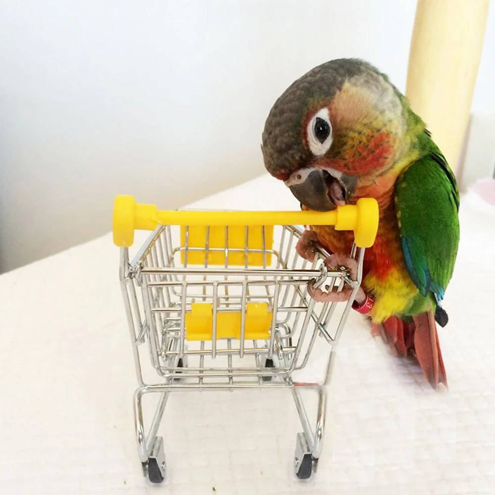 Bird Parrot Toy Set Mini Supermarket Shopping Cart Trolley Skateboard Ring Bell Pet Interactive 3/4 | Дом и сад