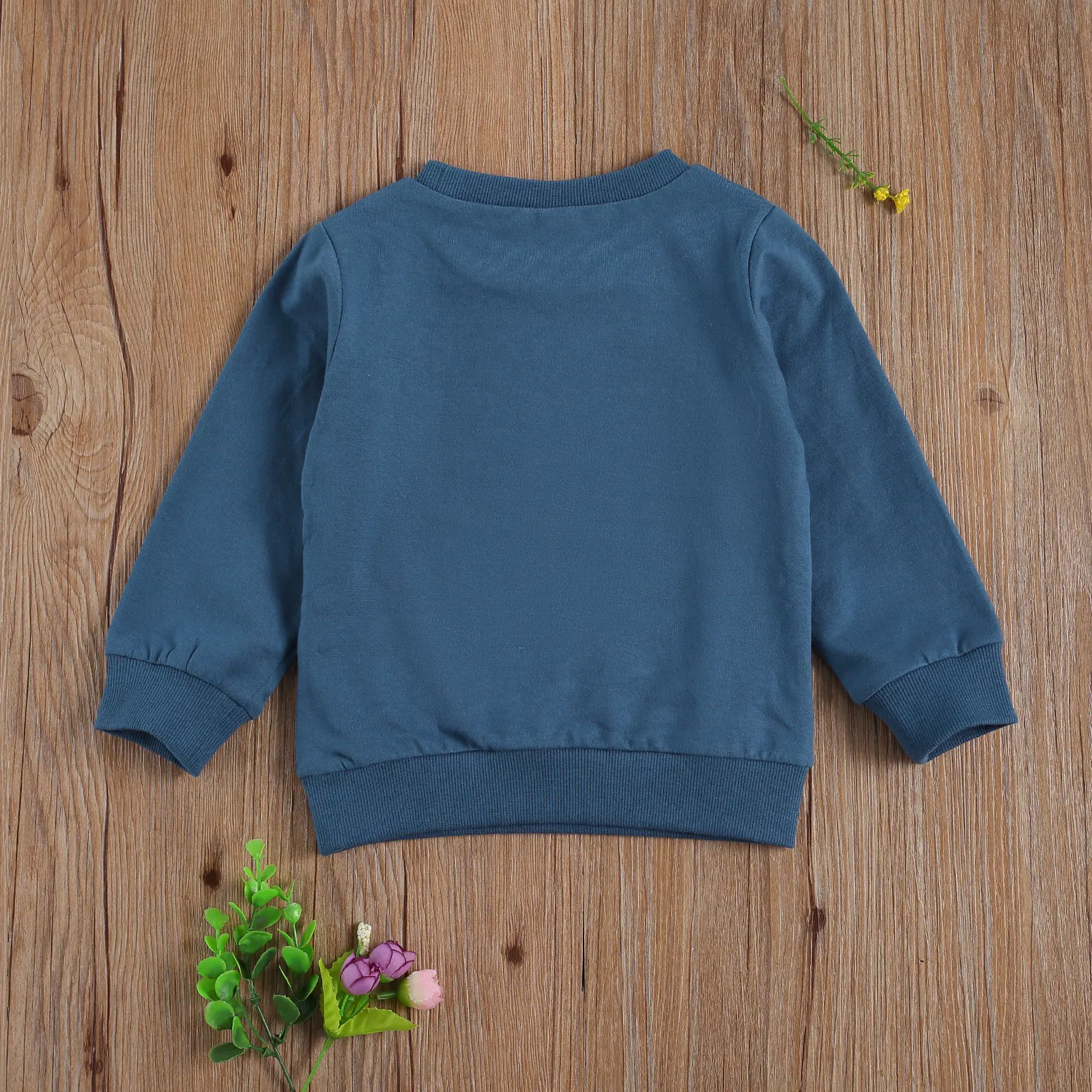 0-4Y Speing Autumn Infant Kids Girls Boys New Sweatshirt Tops Letter Print Long Sleeve Pullover Casual Tops 3 Colors Hoodies