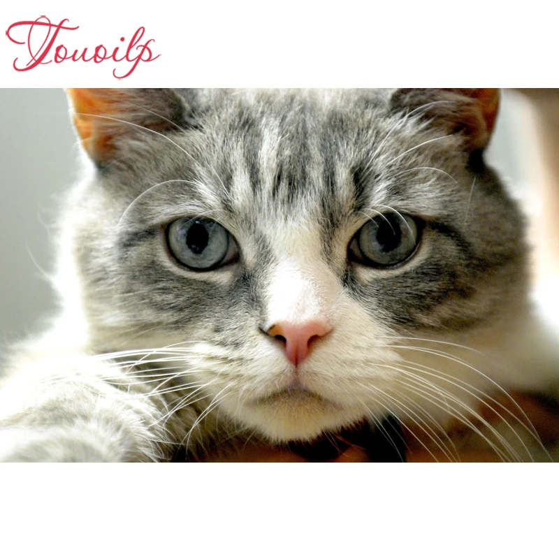 

TOUOILP 5d Animal cat diamond embroidery,5d diamond Painting cross stitch,diamond mosaic,wall sticker,children's room decor