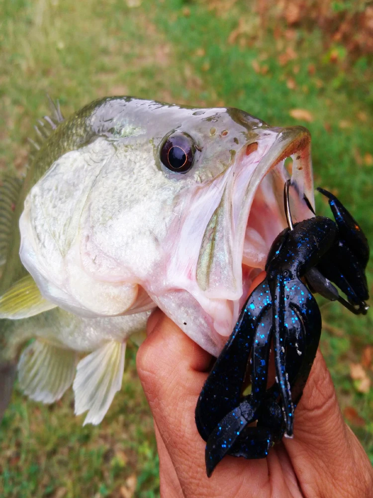 Рыболовные приманки Esfishing, мягкие большие силиконовые приманки Pesca Crazy Flapper, 11 см, 11,5 г, 5 шт., воблеры для ловли карпа для рыбалки
