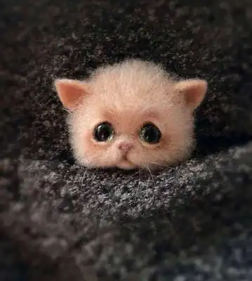Little Cat head Шерсть войлочный Сделай Сам ручной работы материал пакет Войлок животное кошка лисы енот животные брошь наборы лиса - Цвет: Little Cat head