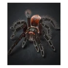5D полноразмерная квадратнаякруглая алмазная живопись жуткий паук животные мозаика вышивка Стразы картина украшение для кровати FC633