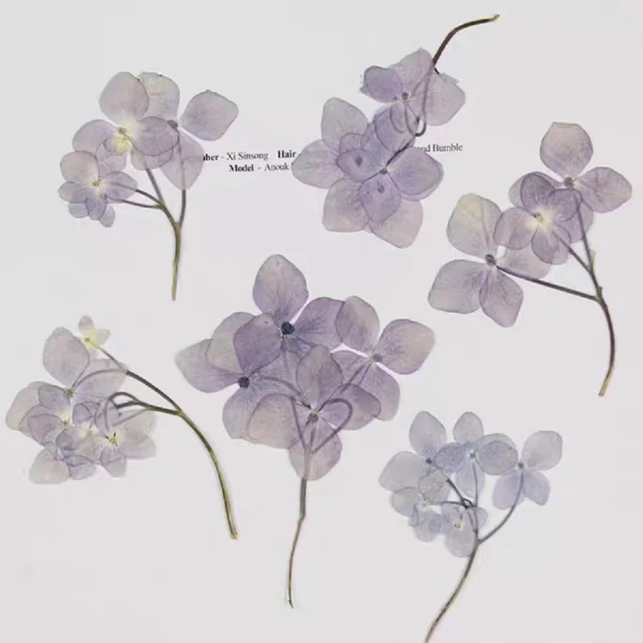 

Цветок гортензии прессованный высушенный, 60 шт., гербарий из растений, для украшений, фоторамок, чехол для телефона, закладка «сделай сам»