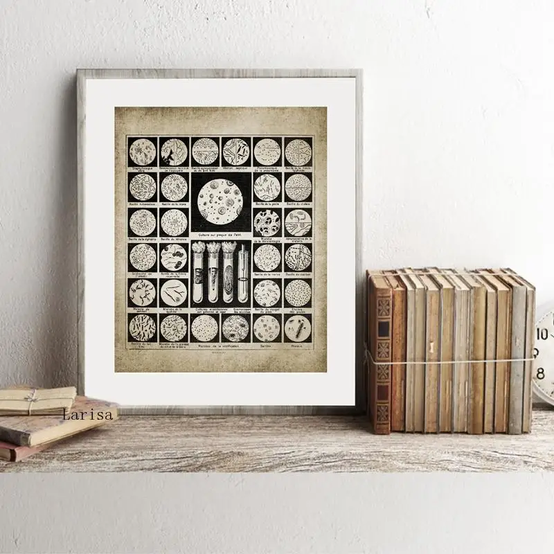 Постер с бактериями и микробами винтажные принты бактерии биология настенное