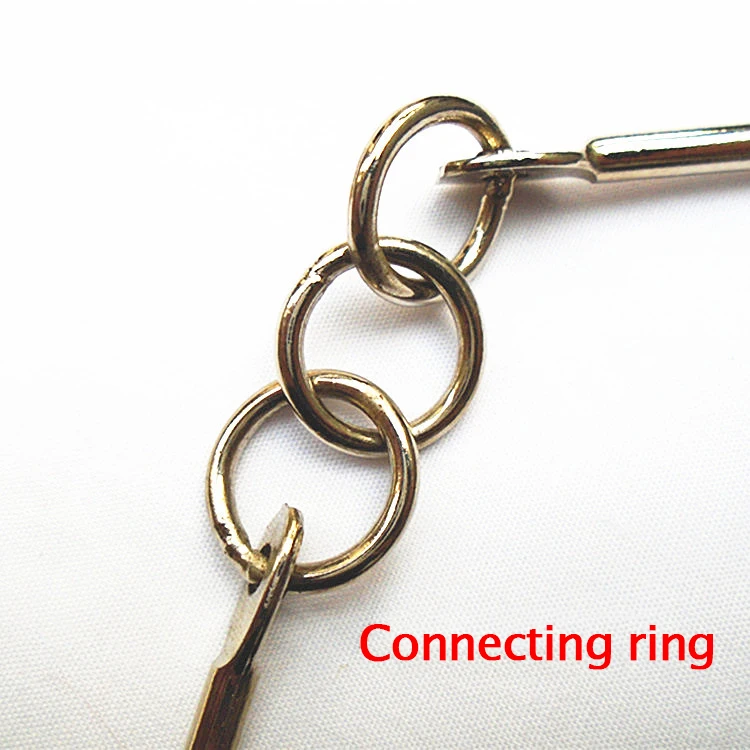 Nine section Whip Китайский традиционный боевое искусство представление тренировочный