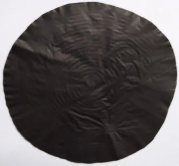 

Single-walled carbon nanotube film / high conductive film / high thermal conductive film / heat radiating film / electric heatin