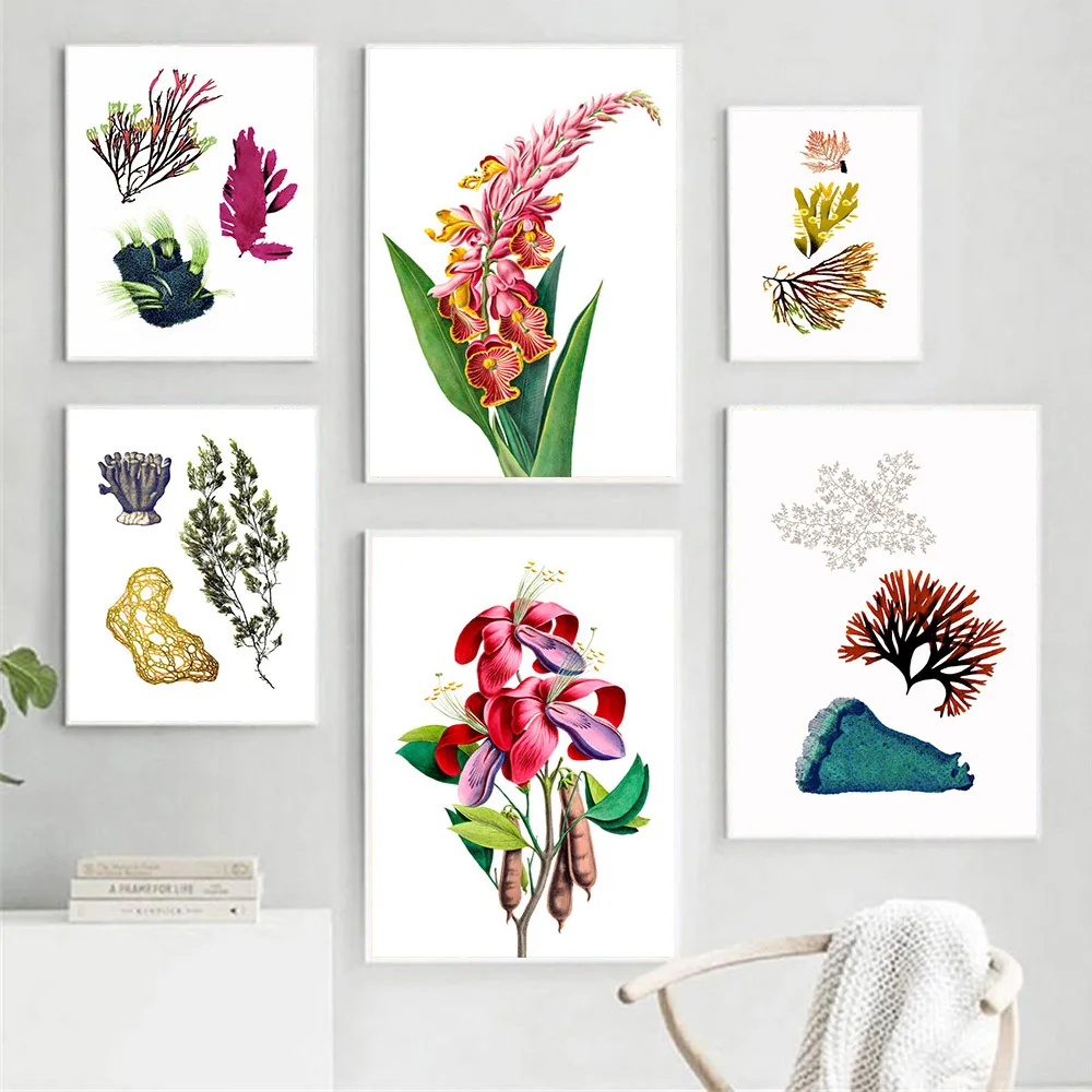 

HD Realistic Seaweed Species Wall Art Canvas Painting Pink Alpinia Flower Nordic Poster Botany Picture For Livingroom Home Decor