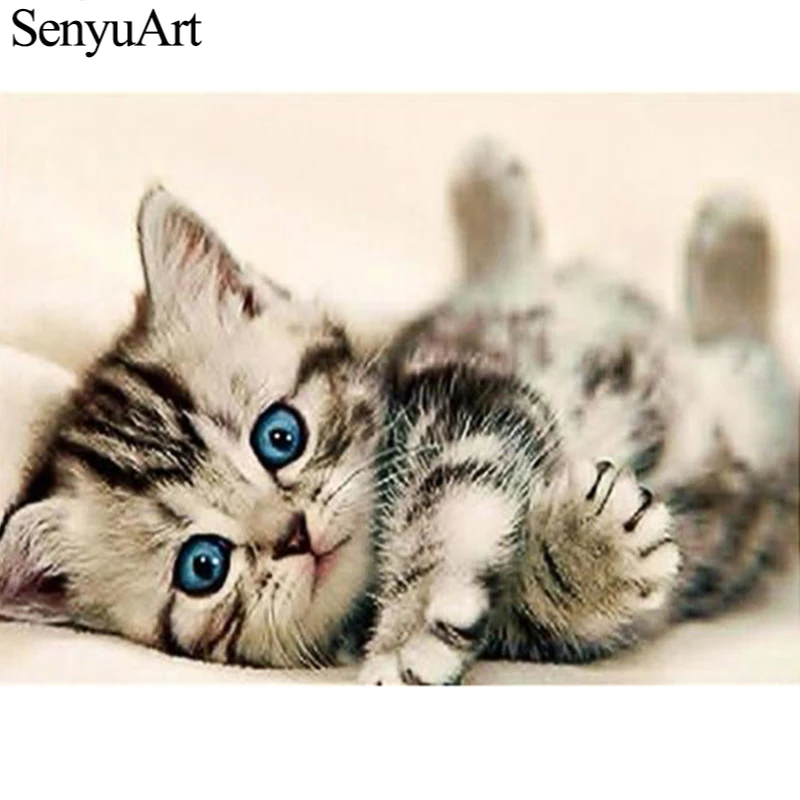 

5d Diy Crystal Rhinestone Diamond Painting Full Drill Kits Diamant Paiting Art Accessories Animal Cat Picture Embroidery Mosaic