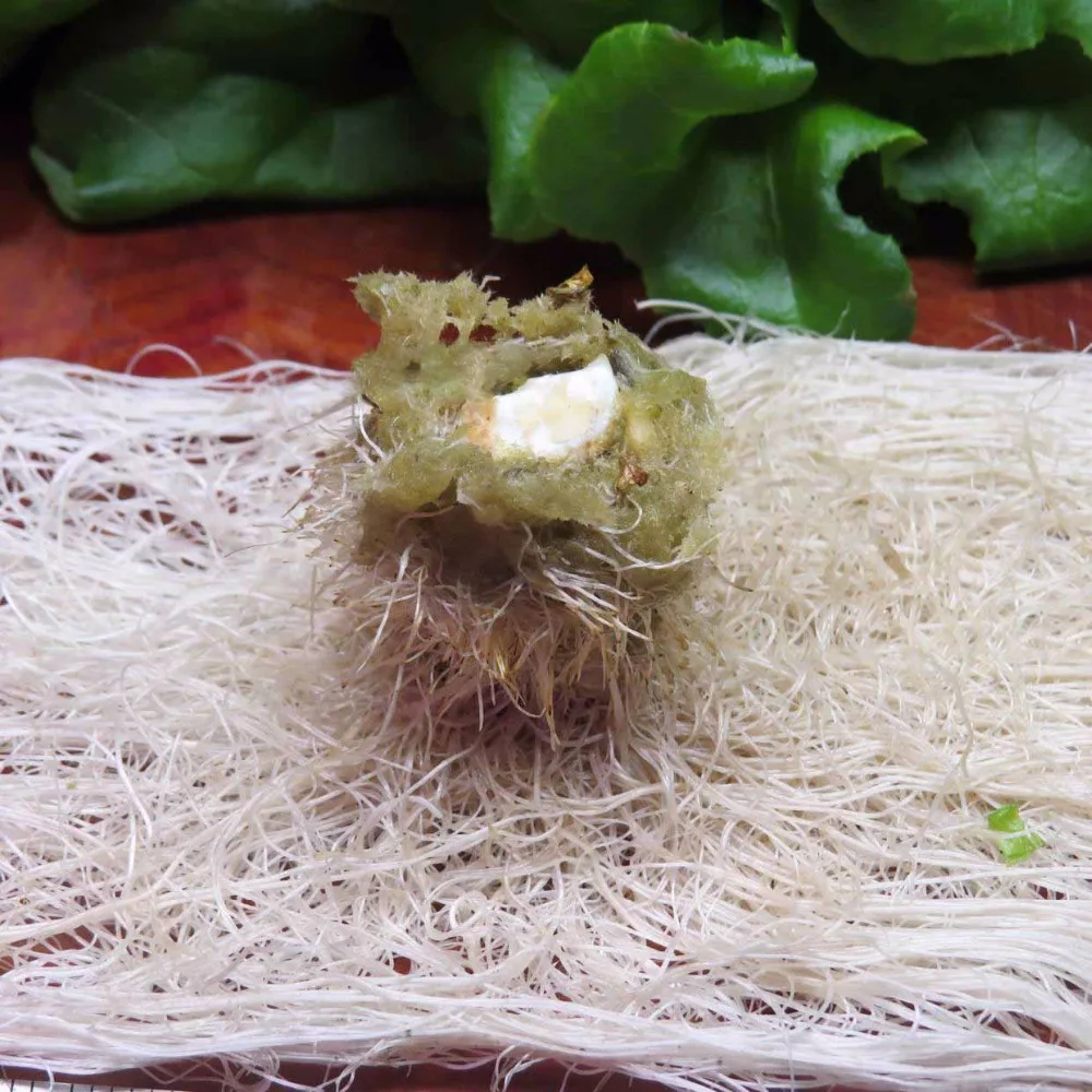 Soilless Culture Substrate Agricultural Cutting Seedling Block Hydroponic Grow Media Propagation Cloning Rockwool Cubes 50 | Дом и сад