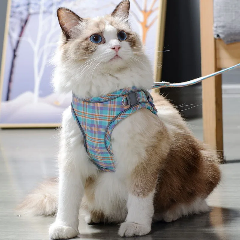 Шлейка-жилет для собак и кошек регулируемые светоотражающие ошейники котят