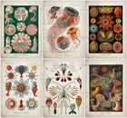 Морская Медуза, морские водоросли, холст, живопись, ВИНТАЖНЫЙ ПЛАКАТ, кораллы, зеленые водоросли, морские анемоны, морская звезда, настенное искусство, крафт-бумага, украшение