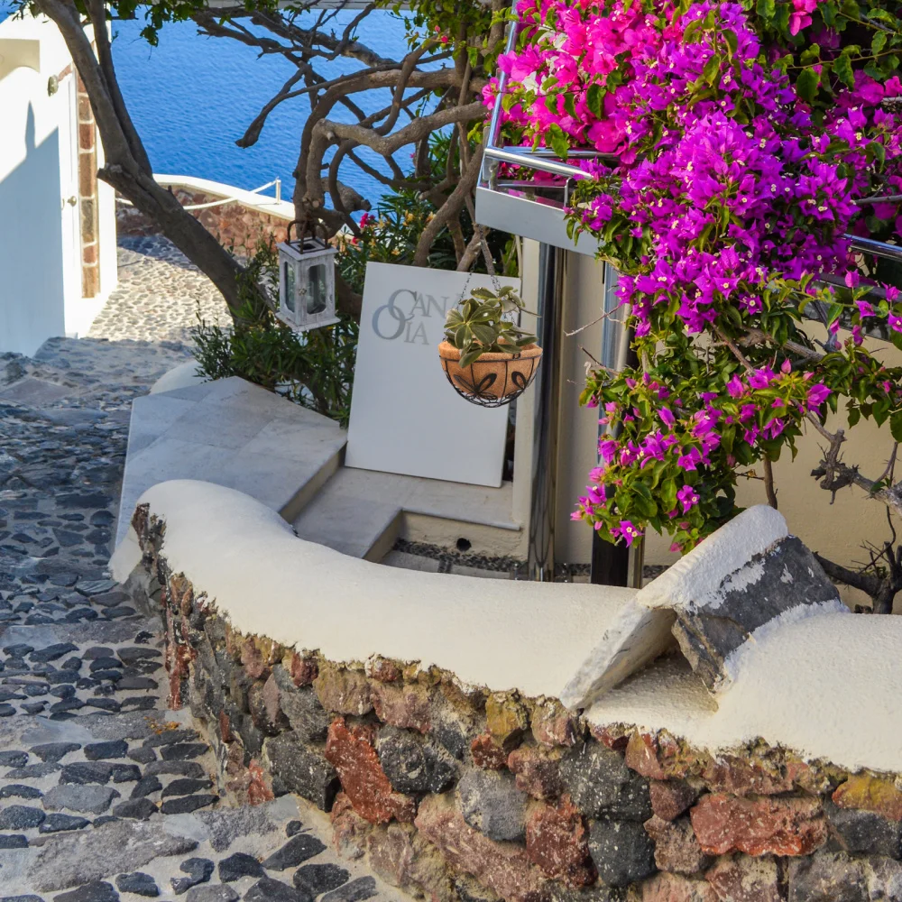 

1PC Wall Hanging Coconut Fiber Flowerpot Multi-function Hanging Basket Flowerpot