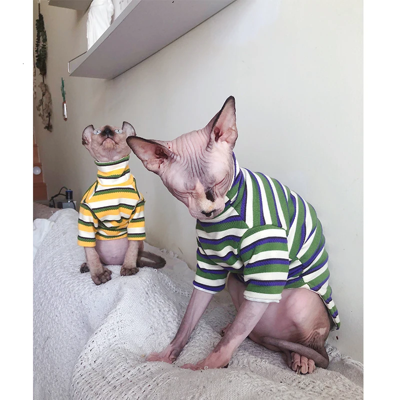 Женская одежда для кошек и сфинкса теплая хлопковая полосатая домашних животных