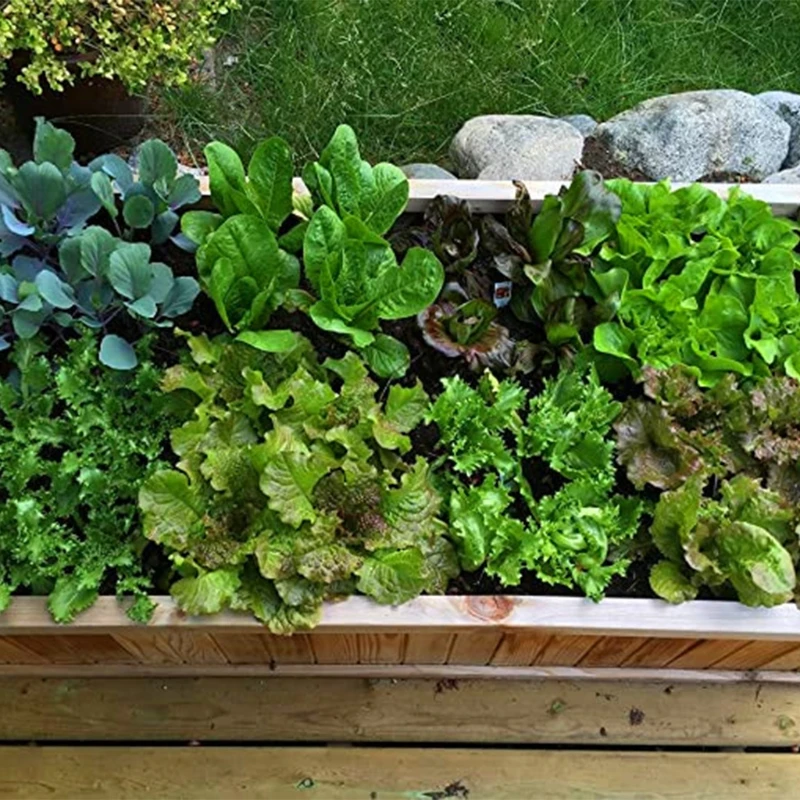 

Simple Unique Square Seeding Sowing Template Garden Seed Spacer Tool Coded Spacing Grow Plate