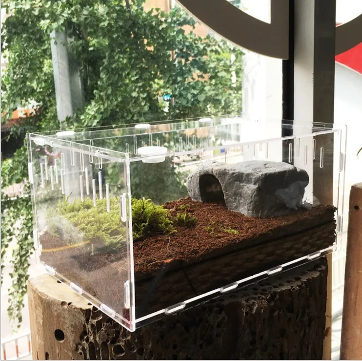 

Корм для улитки, улитка, питание, почва, кокос, коробка для кормления, акриловые принадлежности, коллекция