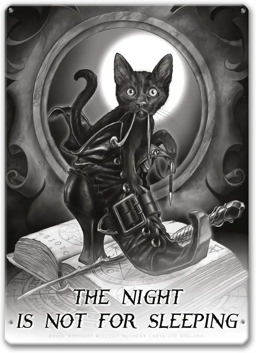 

Agedsign Alchemy Gothic Poster, Metal Sign Vintage Midnight Mischief - The Night is not for Sleeping Wall Decor Art Print Tin