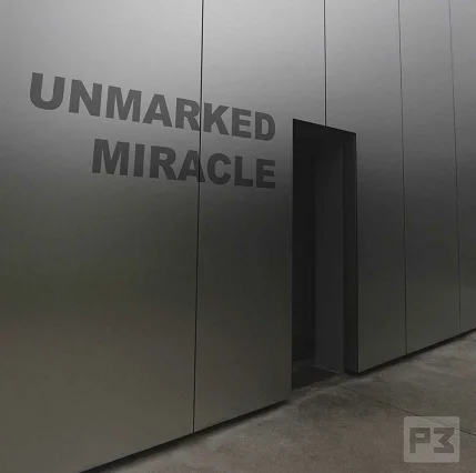 

2020 Unmarked Miracle by Paul Wilson - Magic Trick