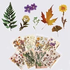 1 пакет, наклейки для домашних животных из эпоксидной смолы