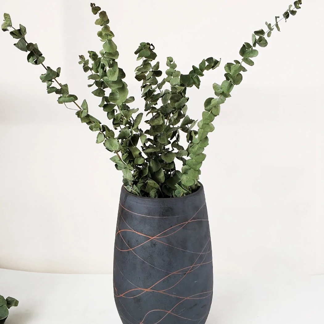 10 шт. растения ветки листья букет декоративные сушеные эвкалипта листьев ветви