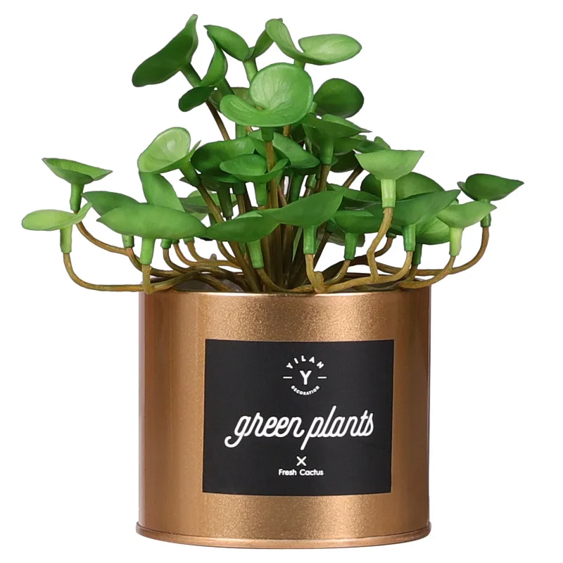 

Nordic Golden Pot Imitation Green Plant Succulent Potted Ornament Milk Coffee Shop Fruit Tea Shop