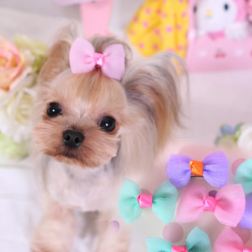 Аксессуары для украшения шерсти домашних животных собаки кошки|Аксессуары