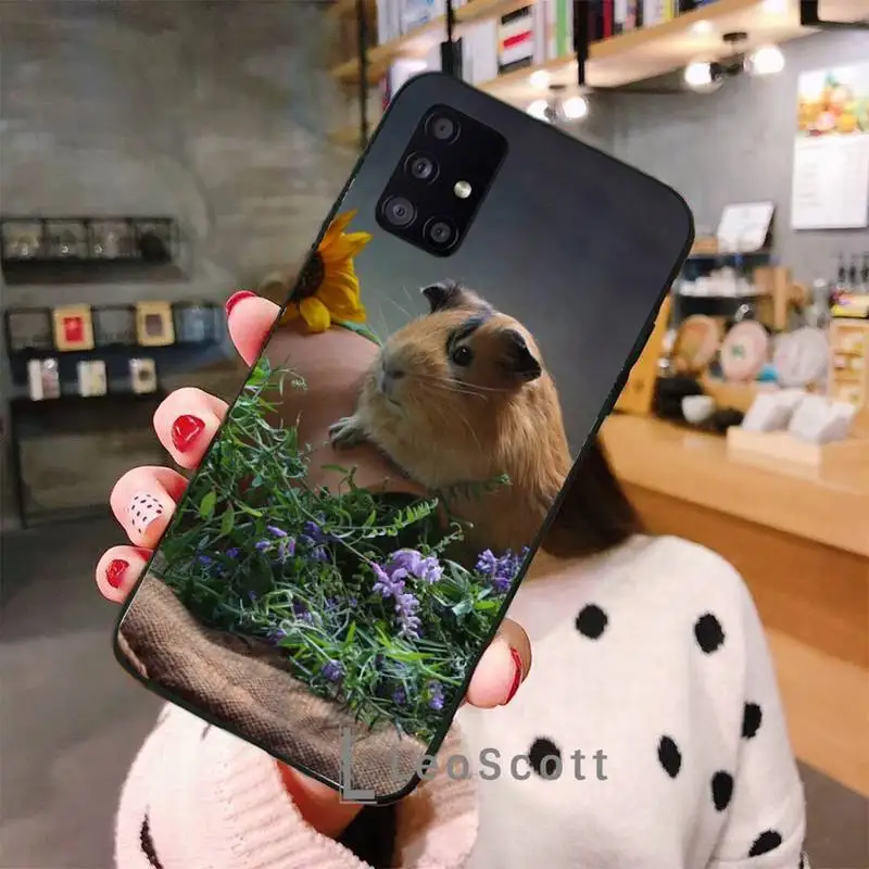 

Guinea Pig Phone Case For Samsung A40 A31 A50 A51 A71 A20E A20S S8 S9 S10 S20 Plus note 20 ultra