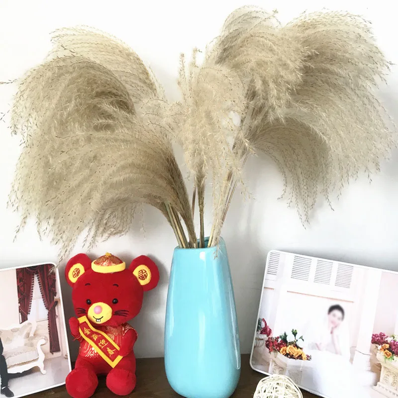 

10/30/50 Pcs Dried Plants Small Pampas Grass Decor Wedding Plants Flowers Decoration Home Real Dried Decoration Flower Ornament