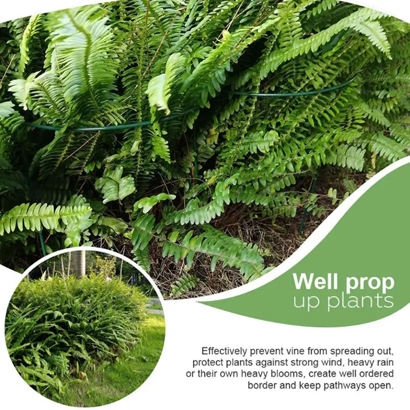 

12 Pcs Plant Support Stake Metal Garden Plant Stake Green Half Round Plant Support Ring Plant Cage Plant Support 21X35cm