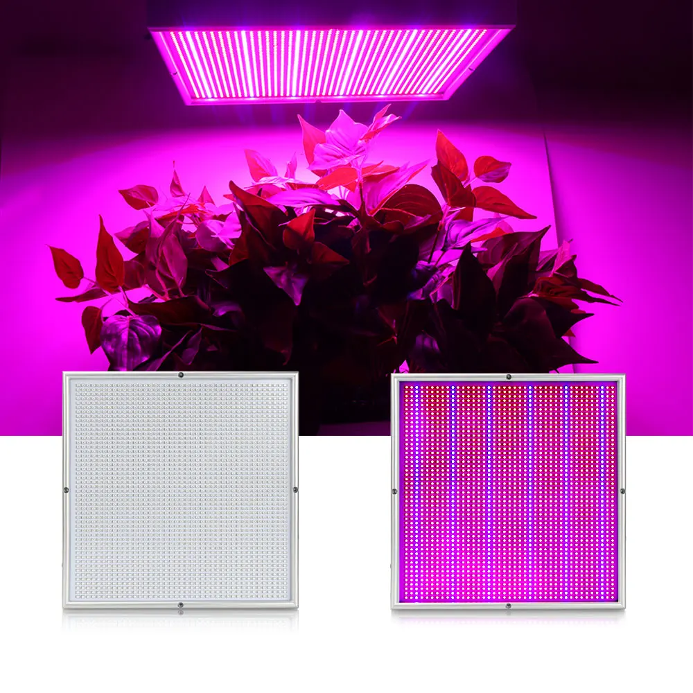 

XRYL 200W Red Blue Led Fitolamp Indoor Hydroponics Flower Fruit Vegs Lamp for Greenhouse Hydroponics Seedling Plant Growth