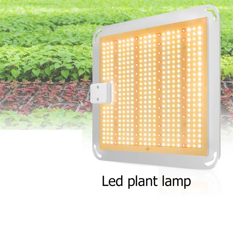 

BRIGHT LED Grow Lights Plant Growth Lamp Quantum Board 400W Waterproof IP66 Full Spectrum For Succulent Greenhouse Plant