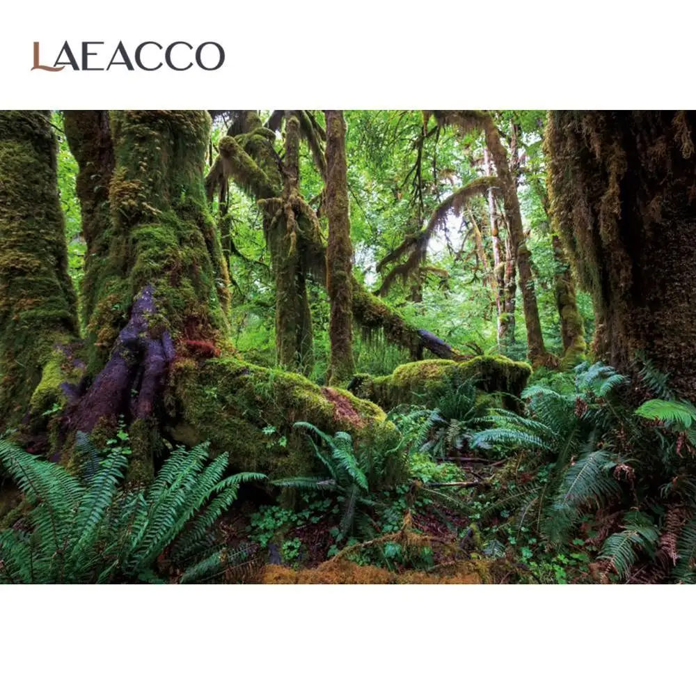 

Laeacco Old Green Tree Forest Moss Shrub Park View Natural Scenic Photography Background Photographic Backdrop For Photo Studio