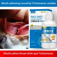 mouth yellow two days clean pigeon mouth yellow respiratory tract trichomonas white spots in the throat common breeding problems