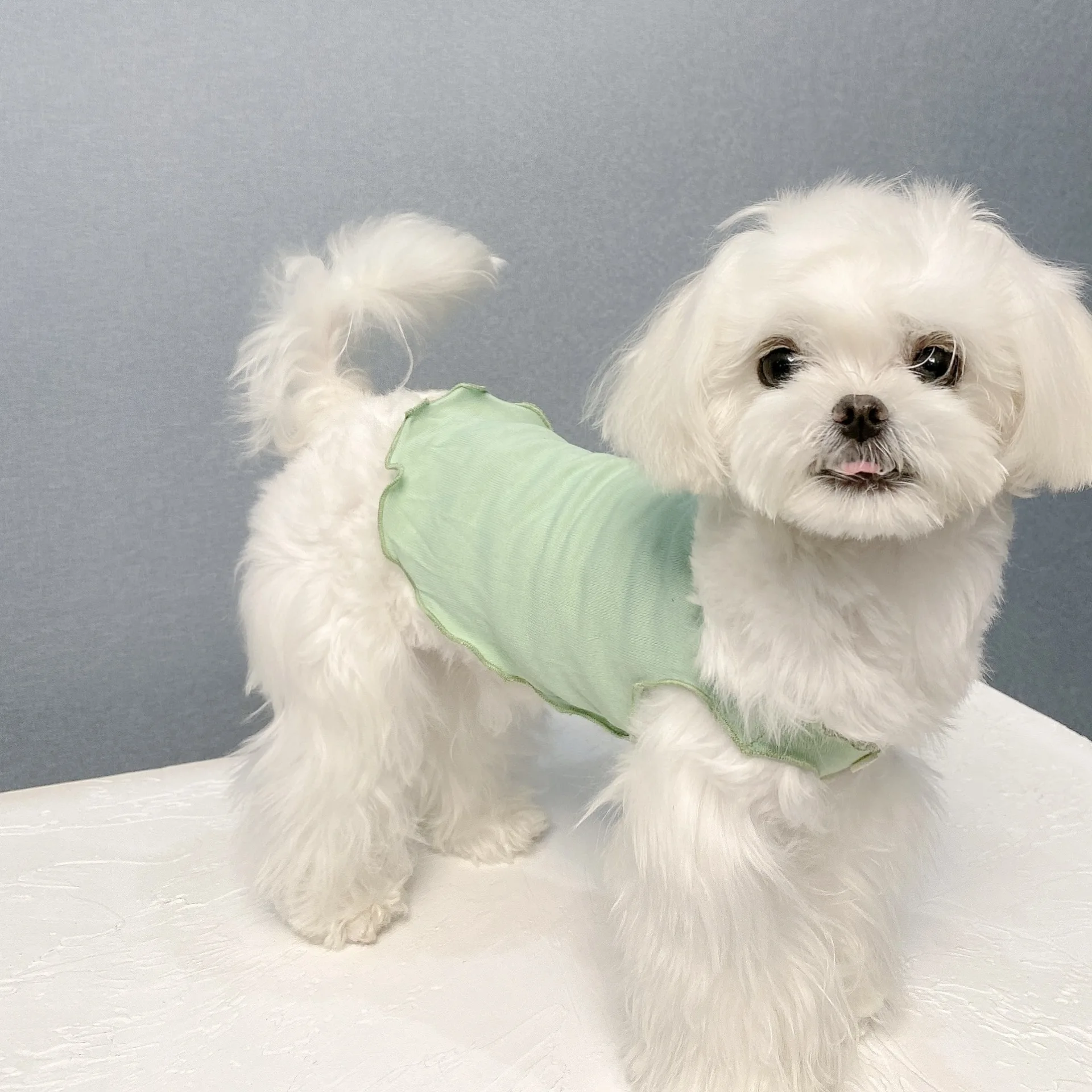 Прохладный и дышащий жилетка для собак питомец крутая рубашка с рисунком собаки