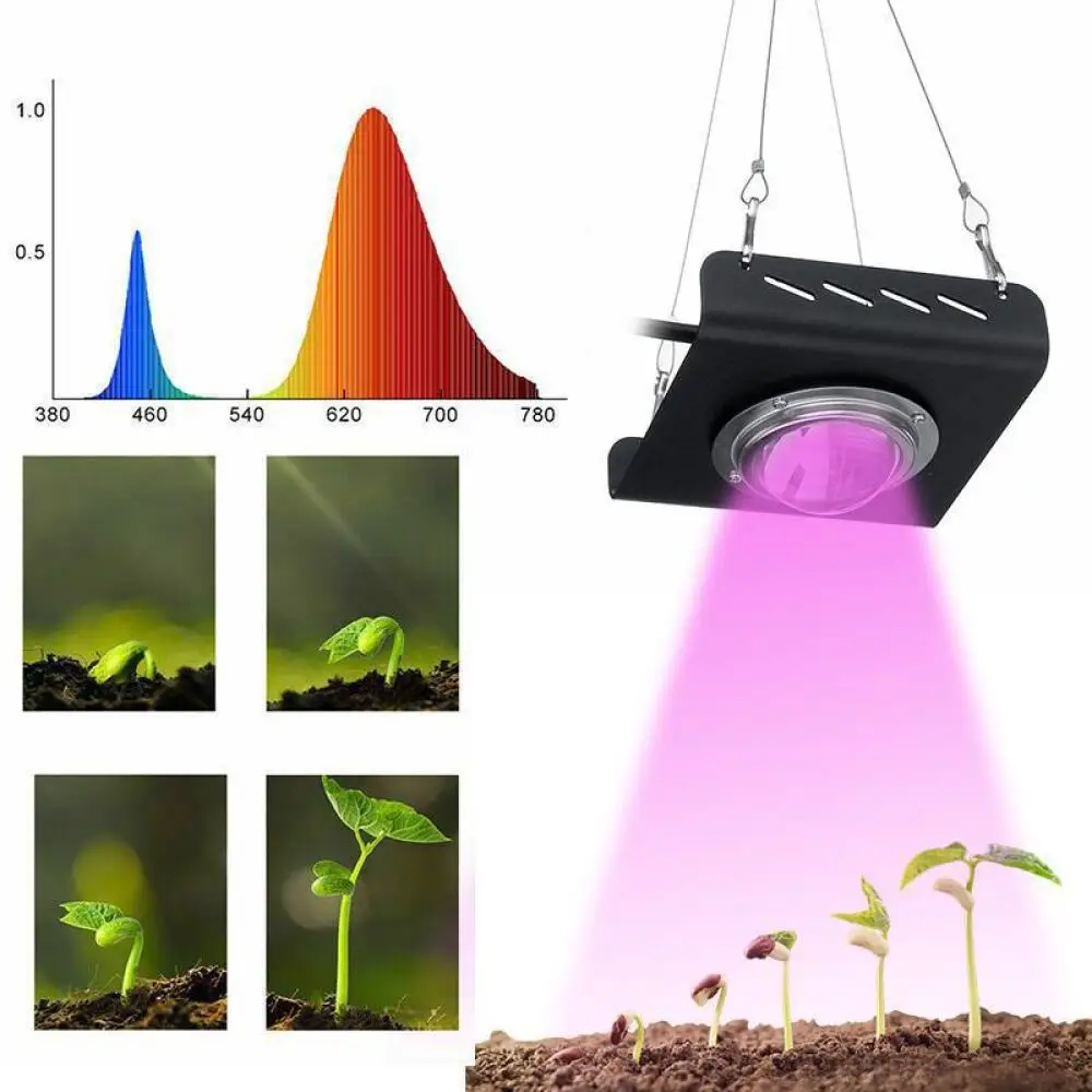 

2021 new led plant light COB full spectrum 50W plant light growth light vegetable succulent flower fill light AC86-265V