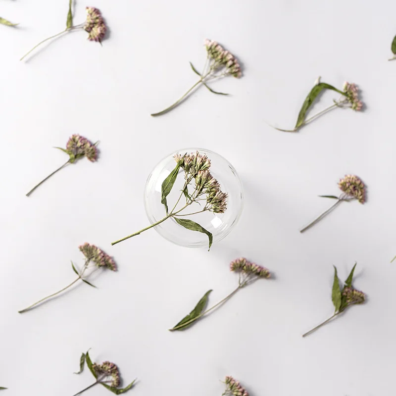 

60pcs Pressed Dried Flower Eupatorium fortunei Turcz Herbarium Bookmark Prop Jewelry Postcard Invitation Card Phone Case DIY