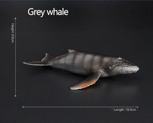 Оригинальные наборы животных океанов sealife, синий кит, Акула, челюсти, тигр, Кит-убийца, leatback, Детская обучающая игрушка, детский подарок - Цвет: little grey whale