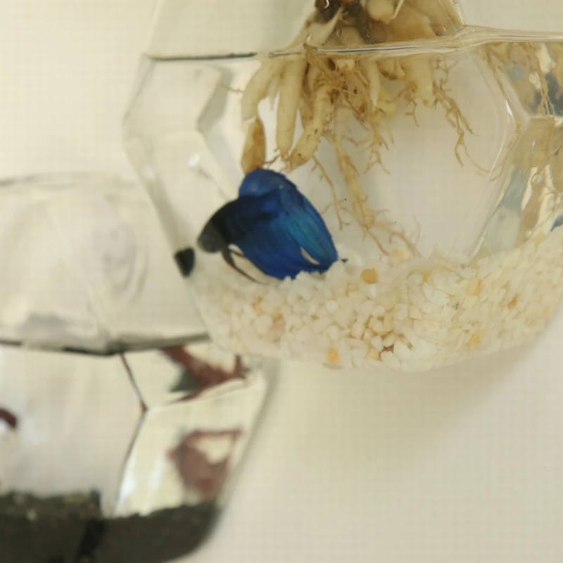 Шестигранная стеклянная ваза креативная простая современная настенная модная