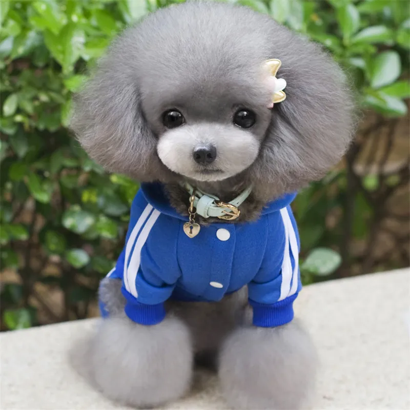 Осенне зимняя теплая одежда для собак со скидкой хлопковая толстовка с четырьмя