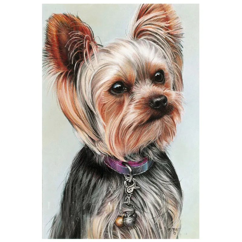5d алмазная живопись сделай сам животное собака йоркширский терьер