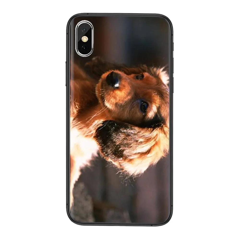 Забавные Собака Такса дешевые мужские для Galaxy Note 20 10 9 8 Ultra Samsung M51 M31 A7 A8 J6 J8 2018 A10S A11