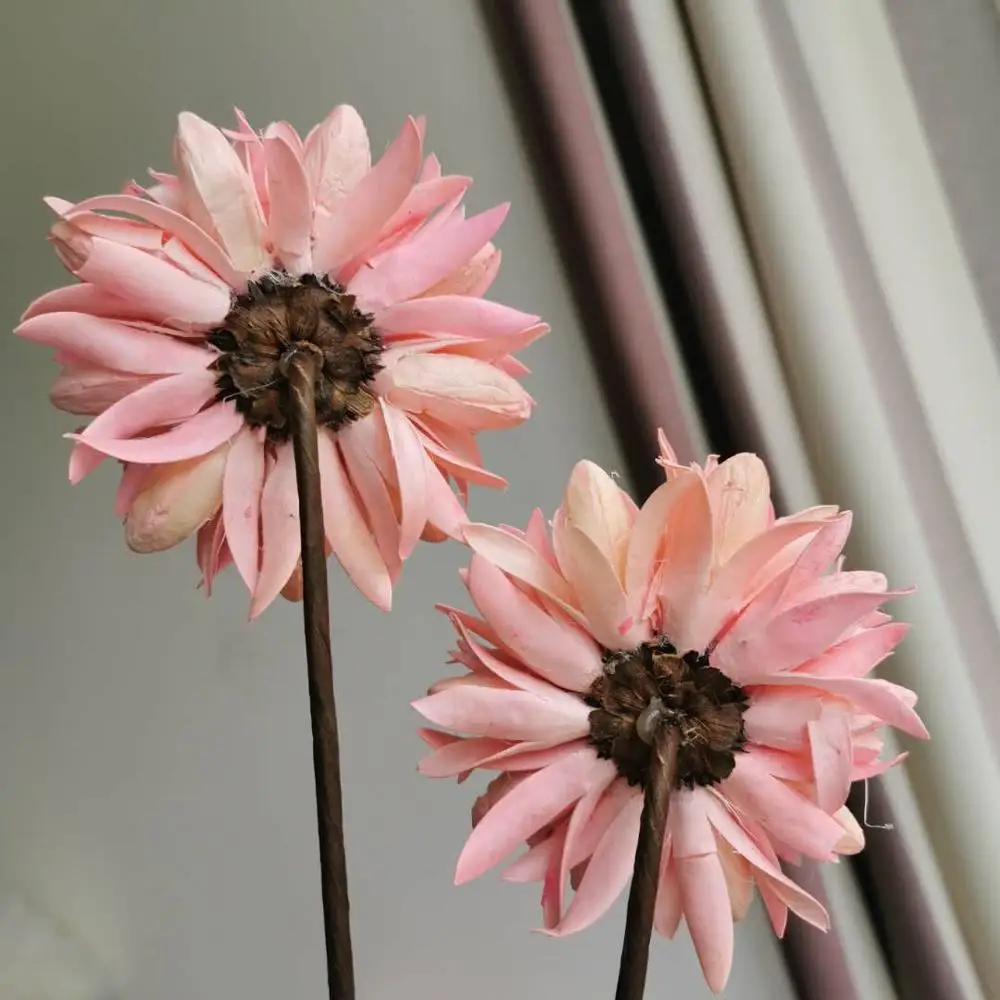 4 шт. высушенные ветви растений искусственные натуральные растения цветок для