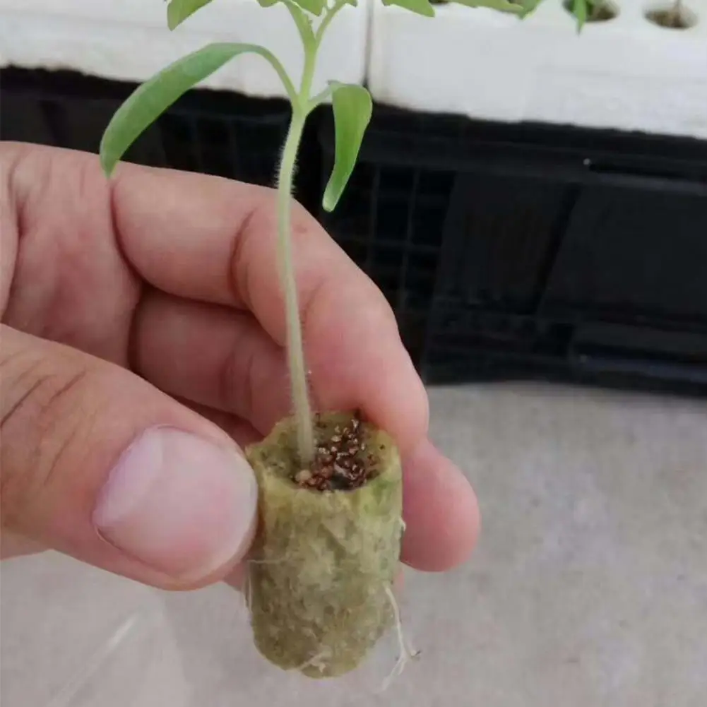 50 шт grow plug a pack Grodan " Starter Cubes plugs-hydroponic rockwool grow media. Распространение клонирования из минеральной ваты кубики