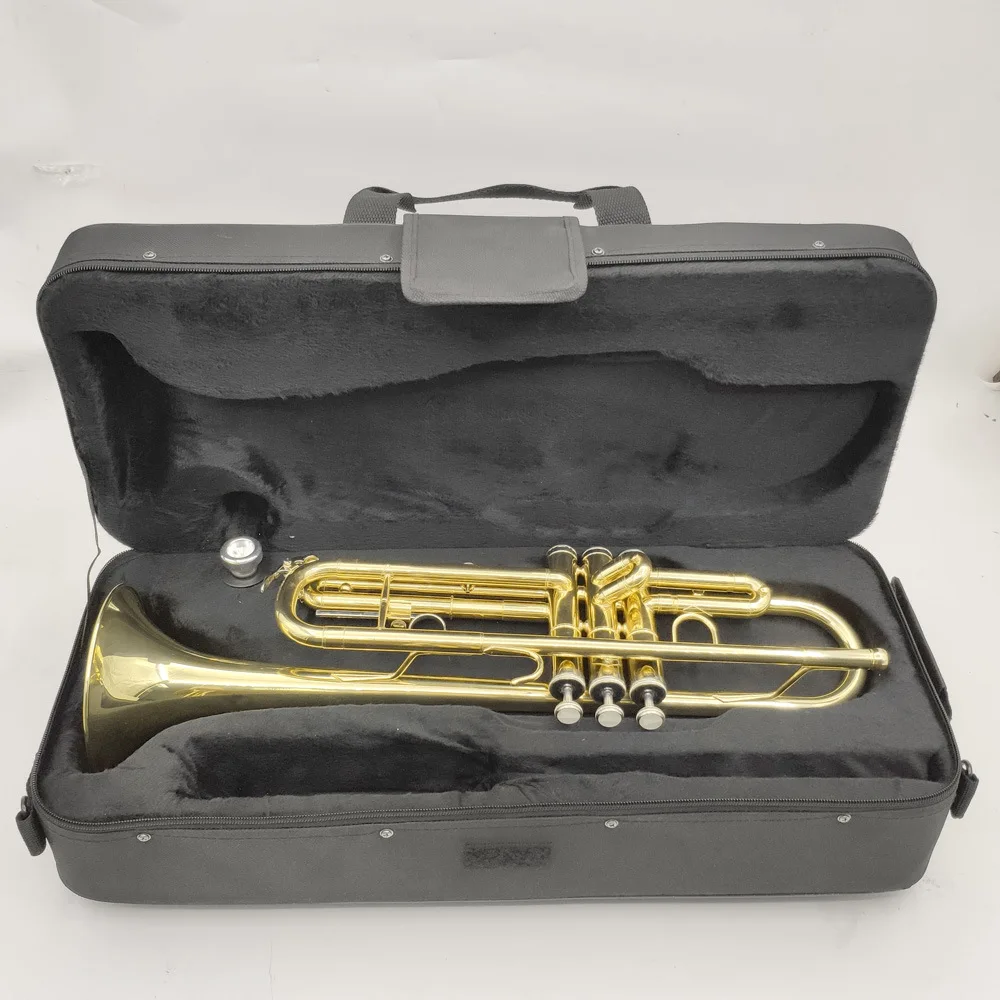 

Musical Instruments