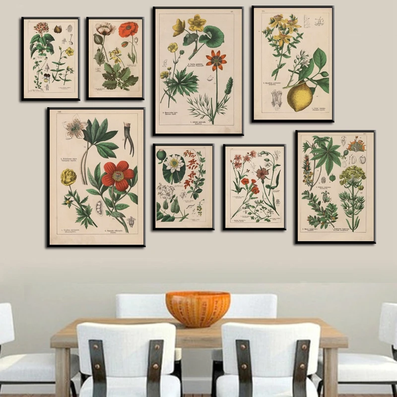 

Vintage Botanical Herbs Posters and Prints Home Wall Decor , Antique Plant Botany Wall Art Canvas Painting Pictures for Kitchen