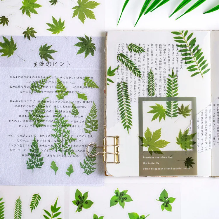 10 шт./партия каваи наклейки полупрозрачные животные растения листья Скрапбукинг