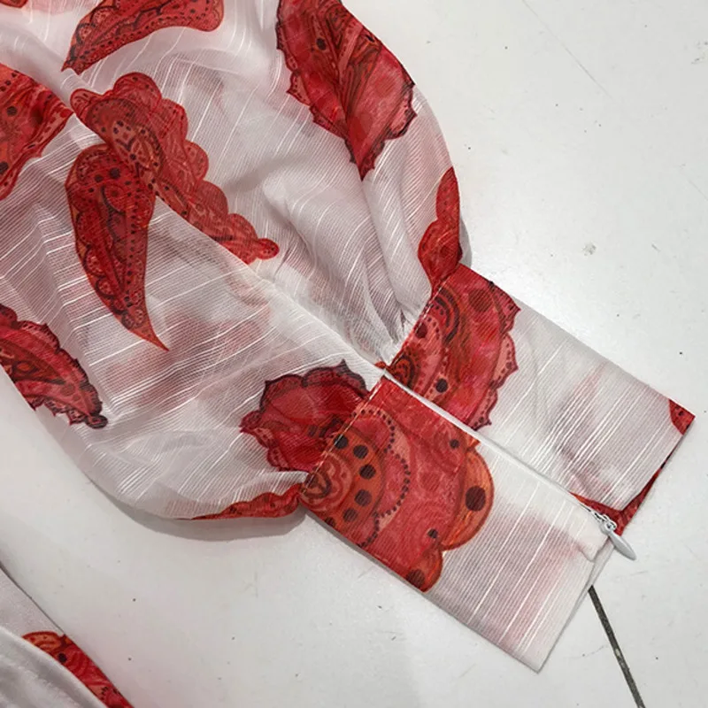 

Two piece set of Lantern Sleeve Shirt and shorts, summer 2021