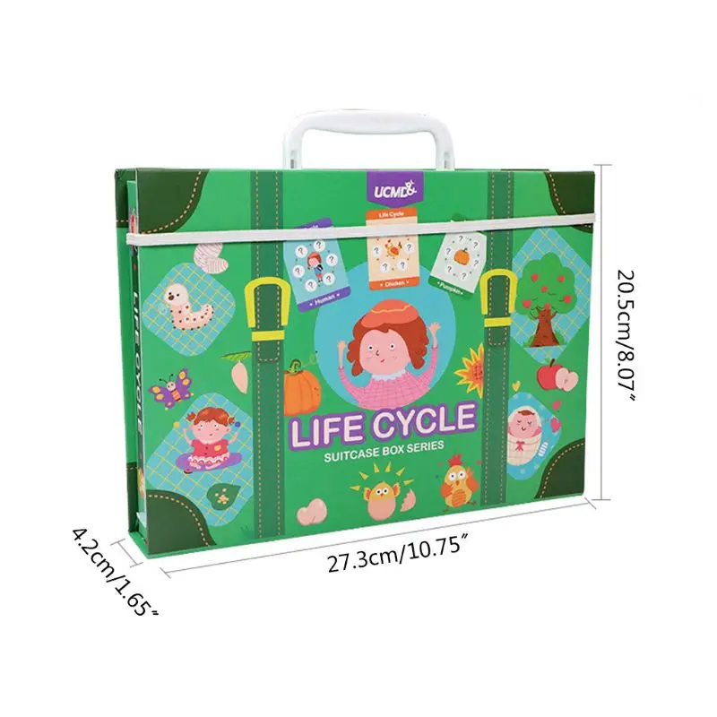 

Magnetic Lifecycle Animal Human Growth Cognition Puzzle Kids Early Education Toy